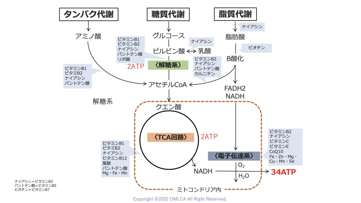 https://www.kiryu-omlca.jp/wps/wp-content/uploads/2023/01/スクリーンショット-2023-01-14-15.57.28-1200x675.png